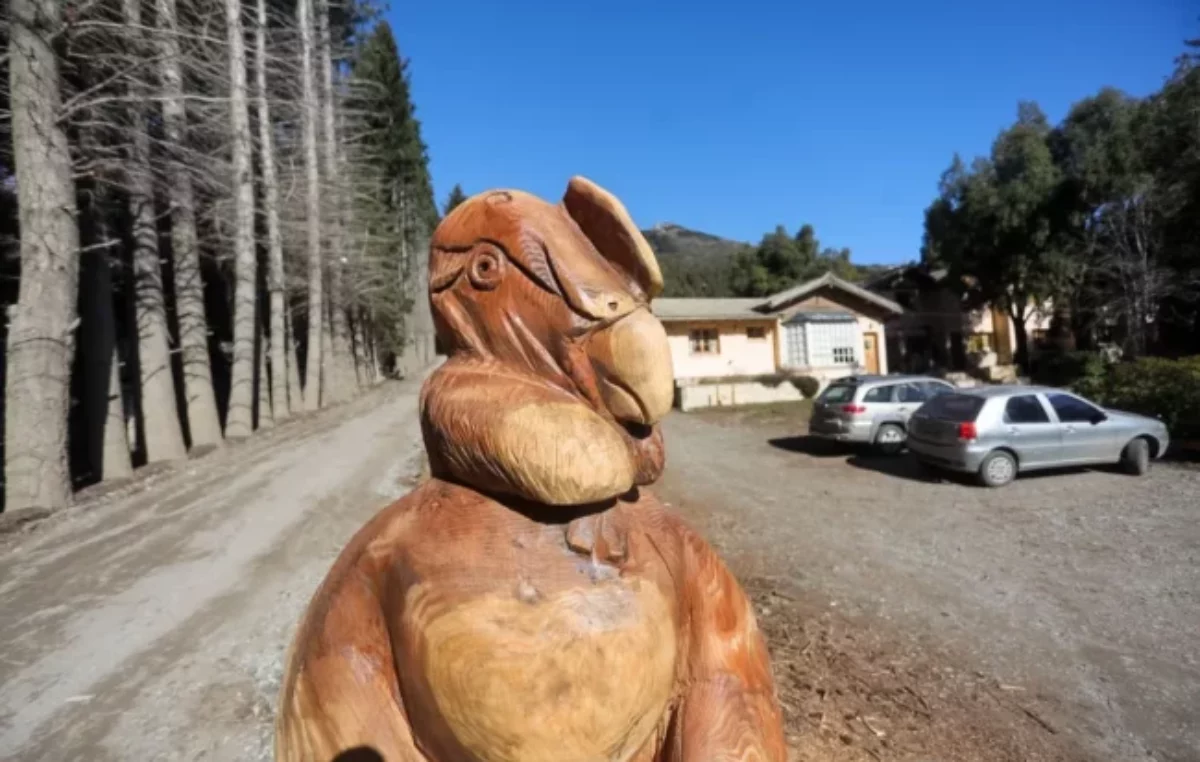 Bariloche tendrá su primer paseo de esculturas en madera