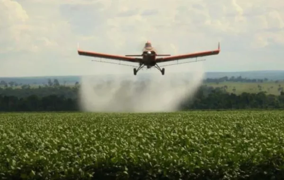 Colonia Tirolesa: aceptan amparo colectivo para limitar los agroquímicos