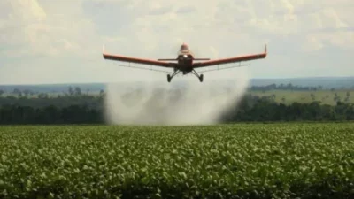 Colonia Tirolesa: aceptan amparo colectivo para limitar los agroquímicos