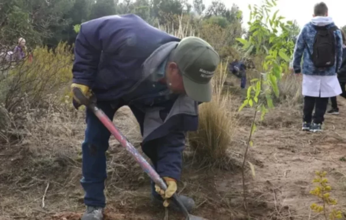 Plan forestal: la ciudad de Neuquén tendrá un nuevo Parque Norte