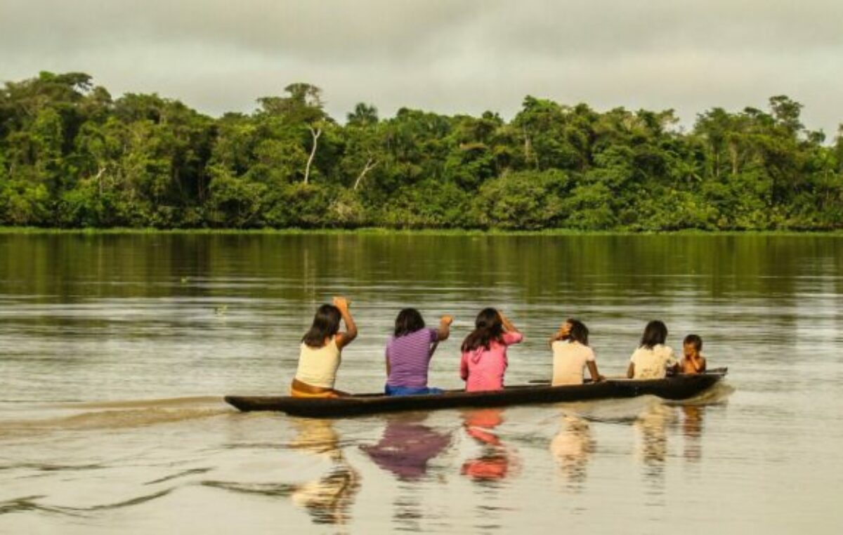 Gobierno de Brasil invertirá 500 millones de dólares para seguridad en la Amazonía Legal