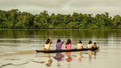 Gobierno de Brasil invertirá 500 millones de dólares para seguridad en la Amazonía Legal