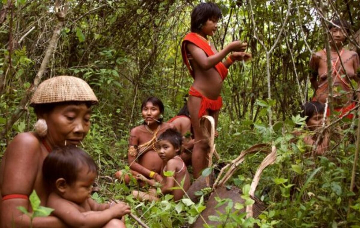 El máximo tribunal de Brasil falló a favor de indígenas sobre tierras ancestrales