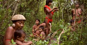 El máximo tribunal de Brasil falló a favor de indígenas sobre tierras ancestrales