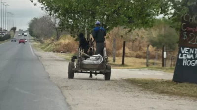 Ordenanza aprobada: ya no se podrán usar animales para tirar carros en la ciudad de Córdoba