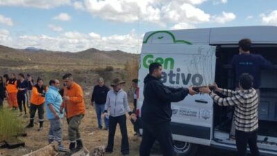Córdoba: Entregaron 21.000 algarrobos para ayudar en la remediación de zonas afectadas por incendios