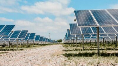 Comienza la construcción del parque solar fotovoltaico para producir energía renovable en Paraná