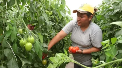 Agricultura lanza programa para mujeres productoras y escuelas agrotécnicas