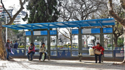 En reversa: la mitad de las líneas de colectivos rosarinas tienen menor frecuencia que antes de la pandemia