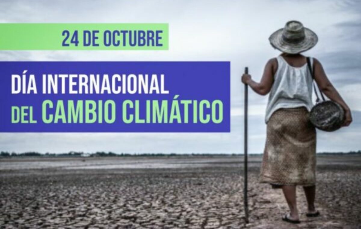 Día Internacional contra el Cambio Climático: los 3 récords que se convirtieron en una nueva normalidad