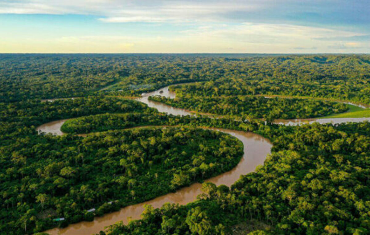 Brasil redujo el 59% la deforestación amazónica