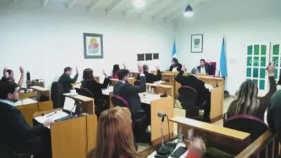 La cantidad de concejales que tienen algunos municipios en Neuquén es escandalosa