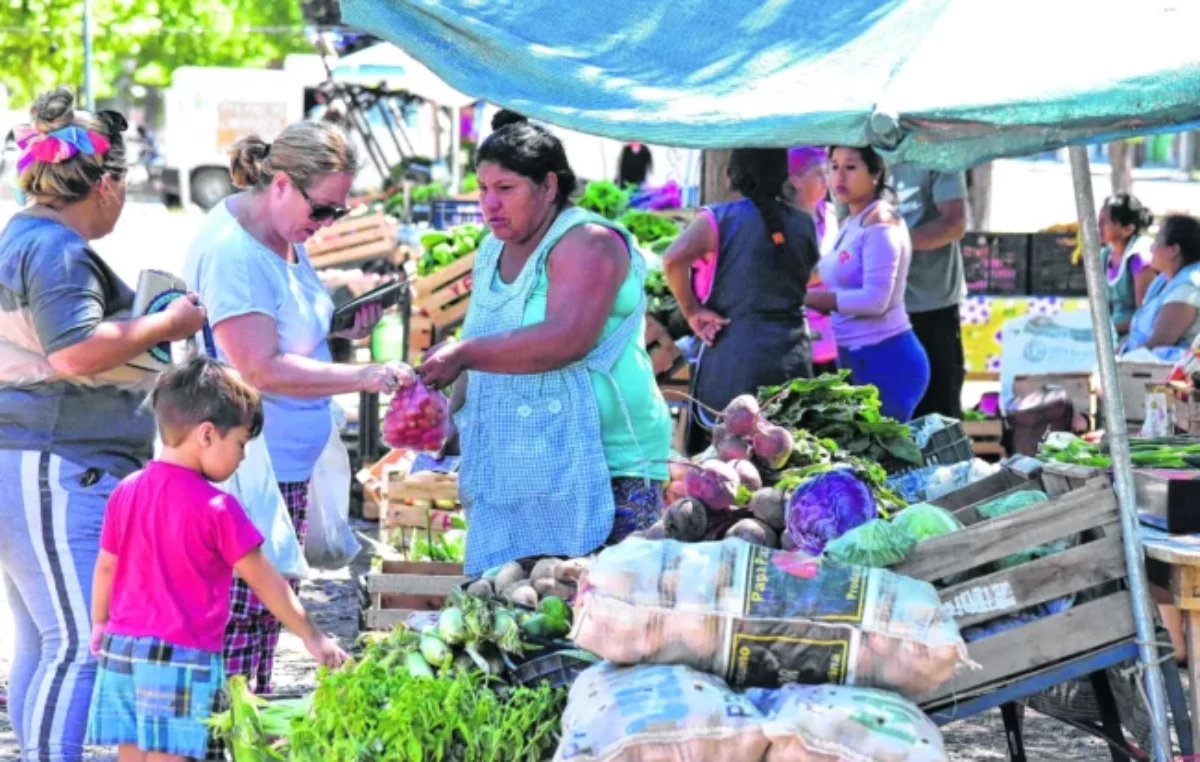 Neuquén: El impacto de la suba de precios en el poder adquisitivo