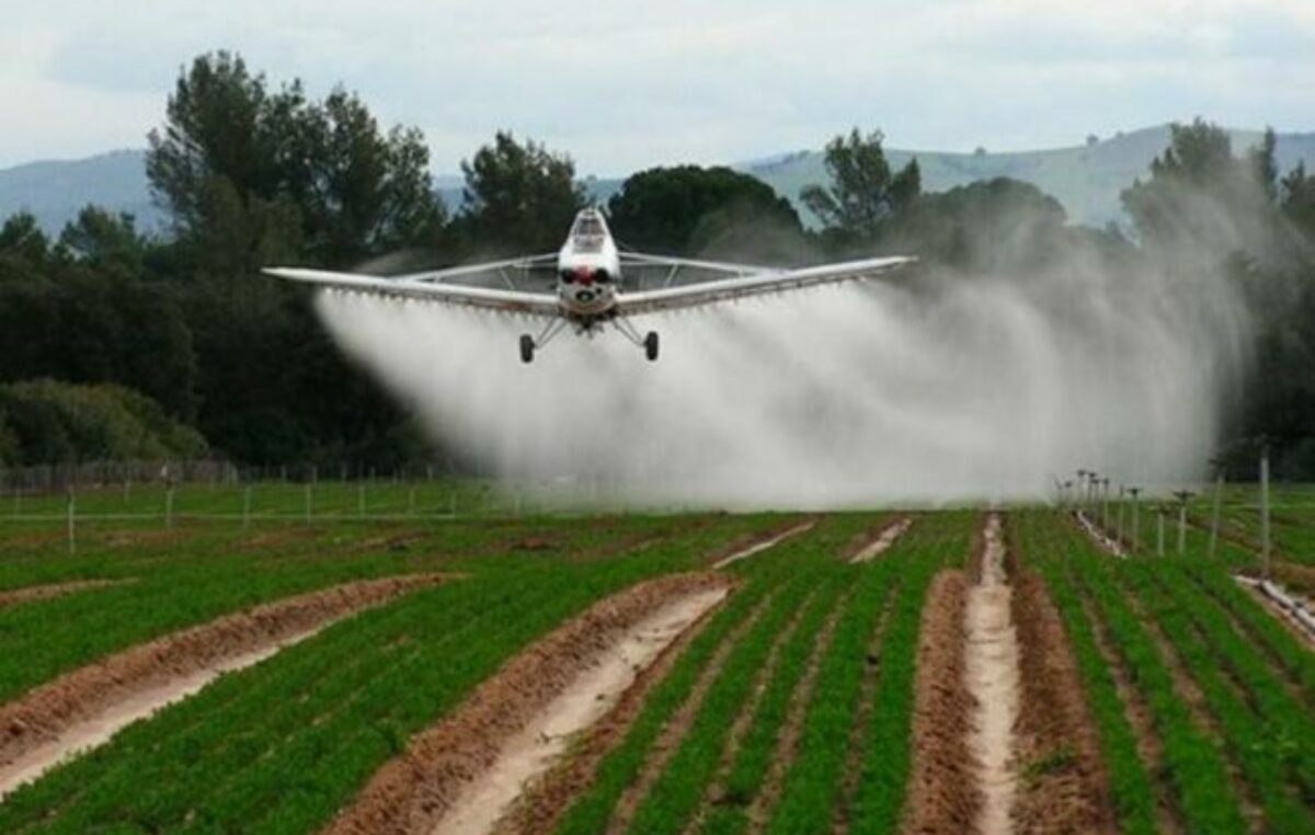 La concentración de agrotóxicos en Argentina es mayor que en Europa