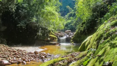 En Argentina apenas el 16% del territorio continental se encuentra bajo protección: “Las áreas protegidas son muy importante para la conservación”