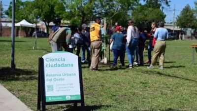 Ciudad verde: la Municipalidad de Santa Fe planta 600 árboles en el norte de la capital