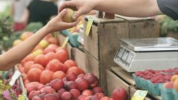 Bajas ventas y problemas en la cadena de pagos: la crisis entre los vendedores de frutas y verduras