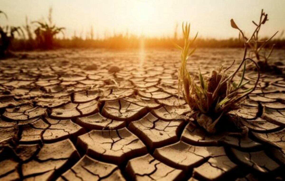 El cambio climático agrava la crisis del hambre y la educación de los más pequeños