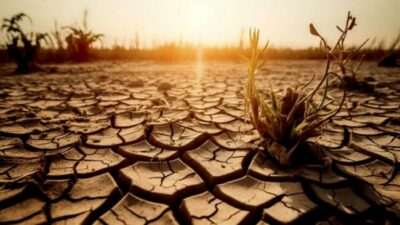 El cambio climático agrava la crisis del hambre y la educación de los más pequeños