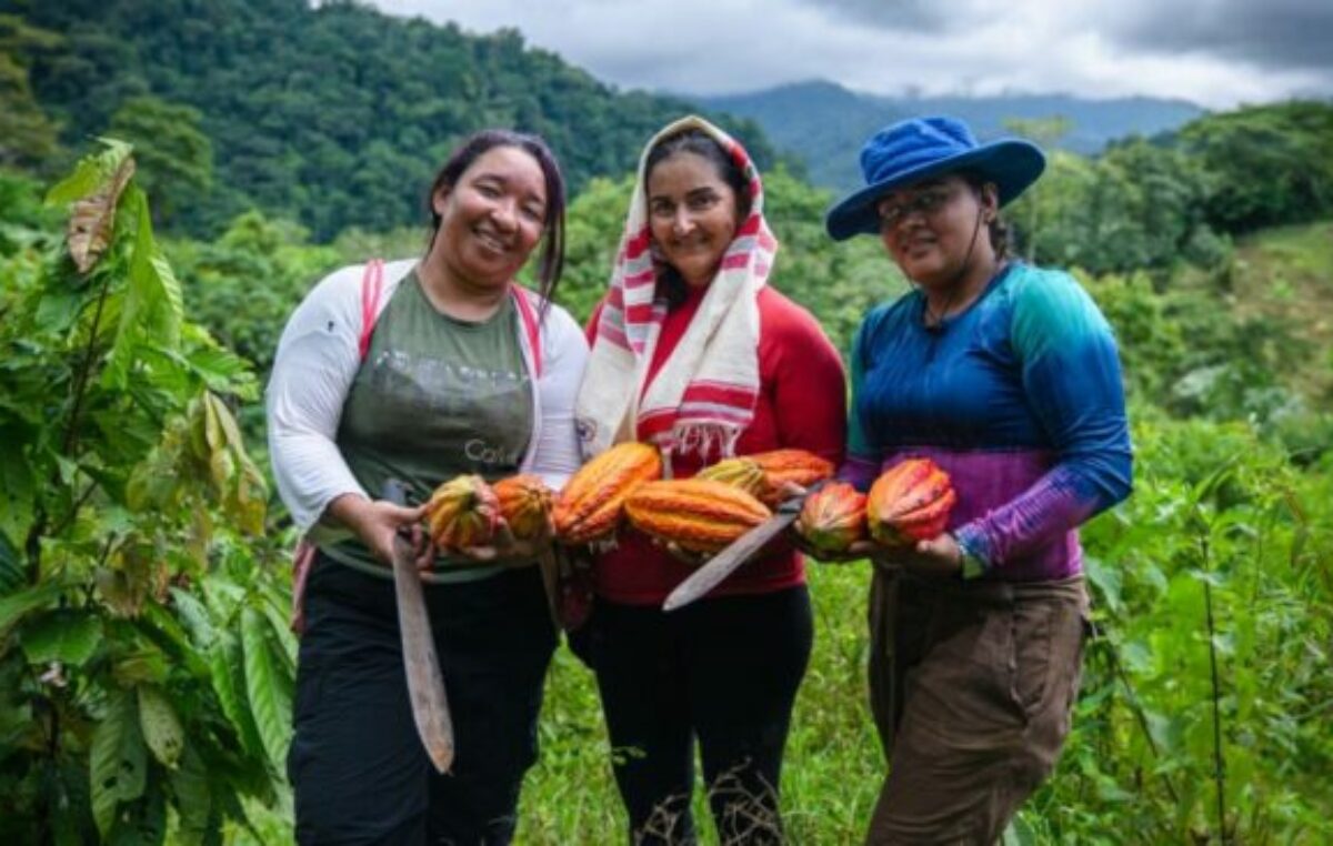 Una transición justa en América Latina requiere políticas económicas ambiciosas