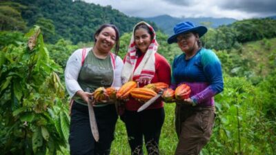 Una transición justa en América Latina requiere políticas económicas ambiciosas