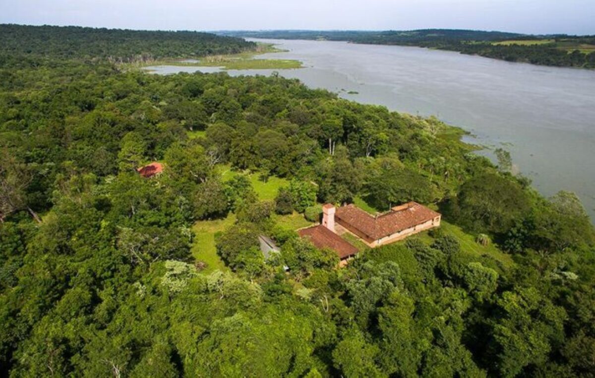 Conocé Misiones: El Parque Federal Campo San Juan un santuario de biodiversidad