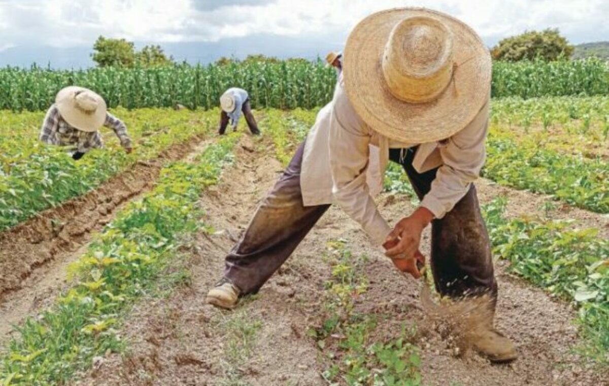 La OIT proyecta un escenario laboral «altamente complejo» en Latinoamérica