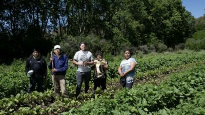 Urbanización y sector agroalimentario: ¿cómo asegurar buenos alimentos para hoy y para mañana?