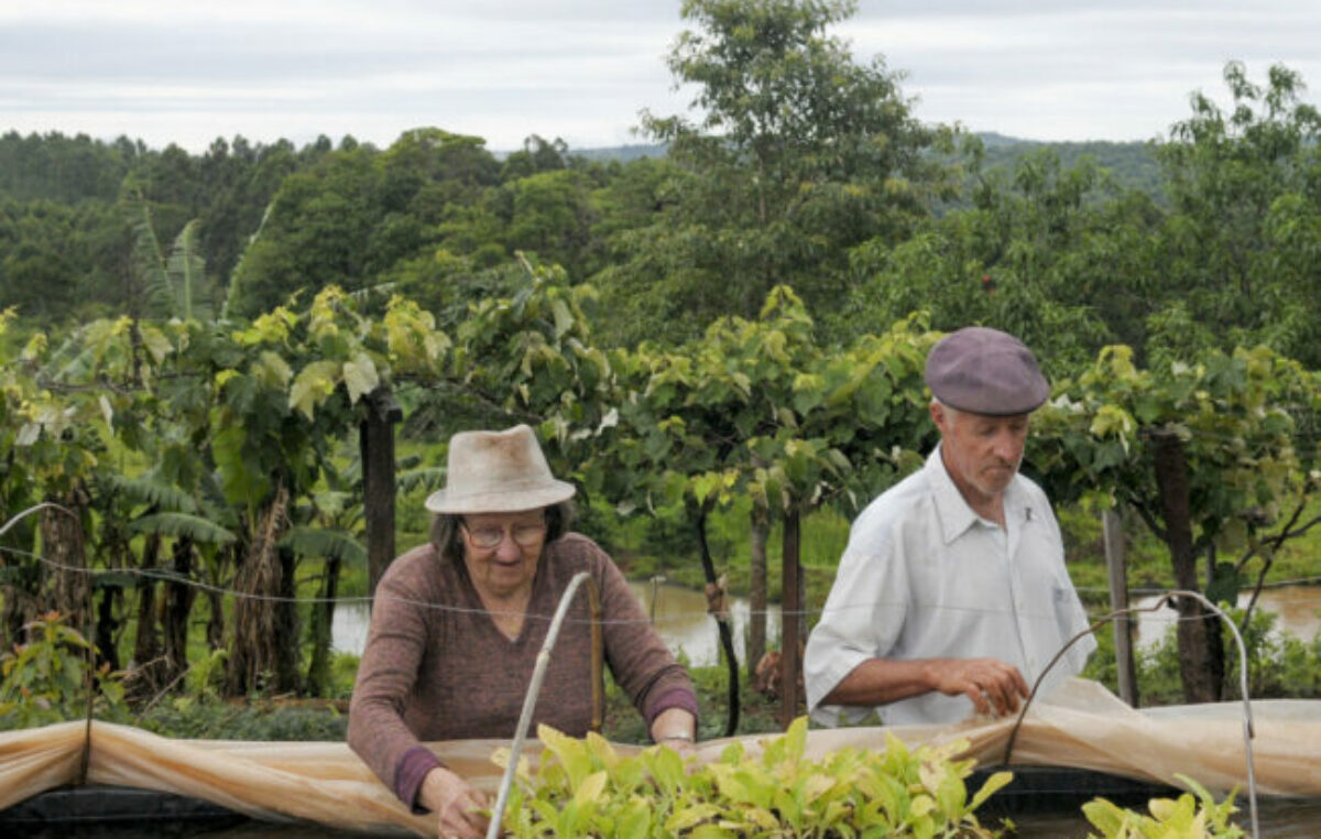 «El Gobierno no ve a la agricultura familiar como un sector productivo»