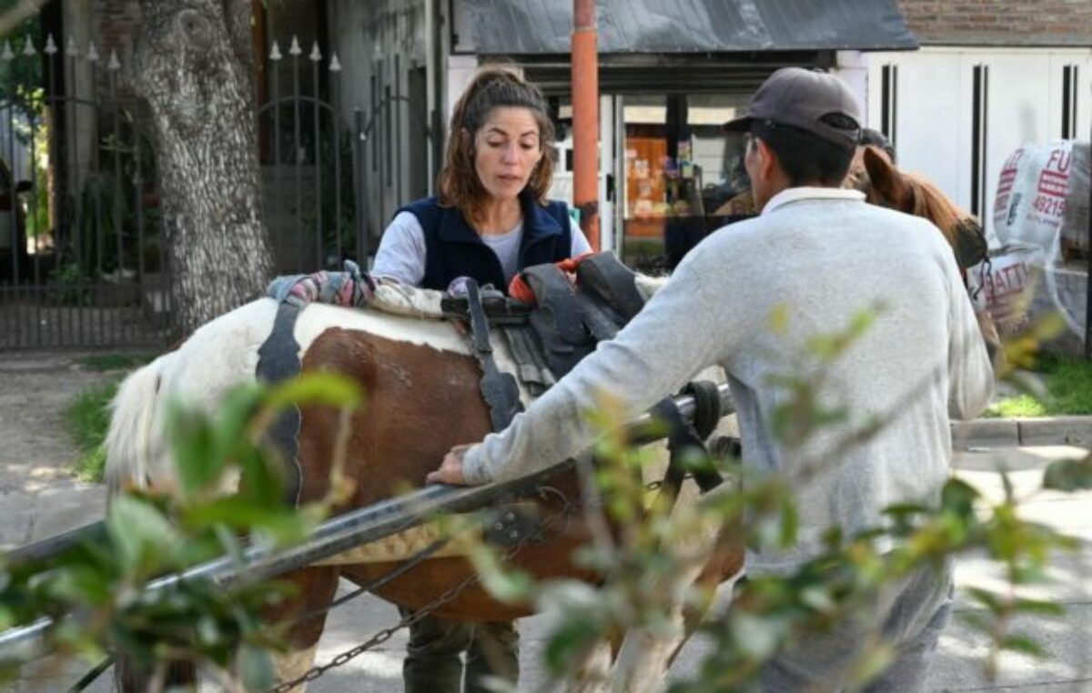 Villa Gobernador Gálvez: comenzó el proceso de eliminación de vehículos de tracción a sangre animal