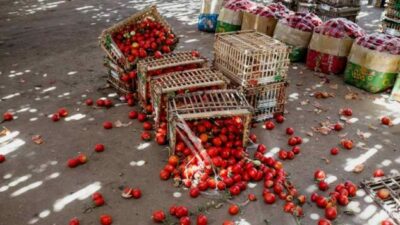 Preocupa el desperdicio de alimentos en el país