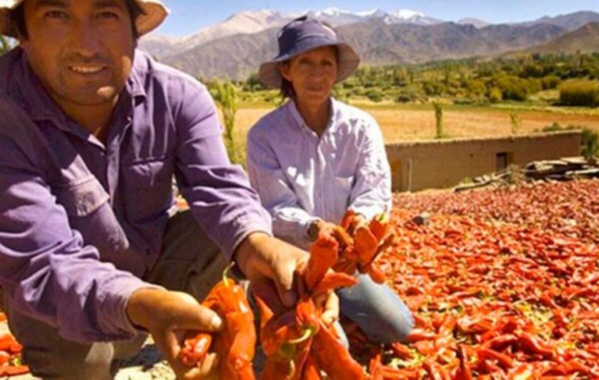 En Cachi las economías locales son afectadas por las medidas nacionales