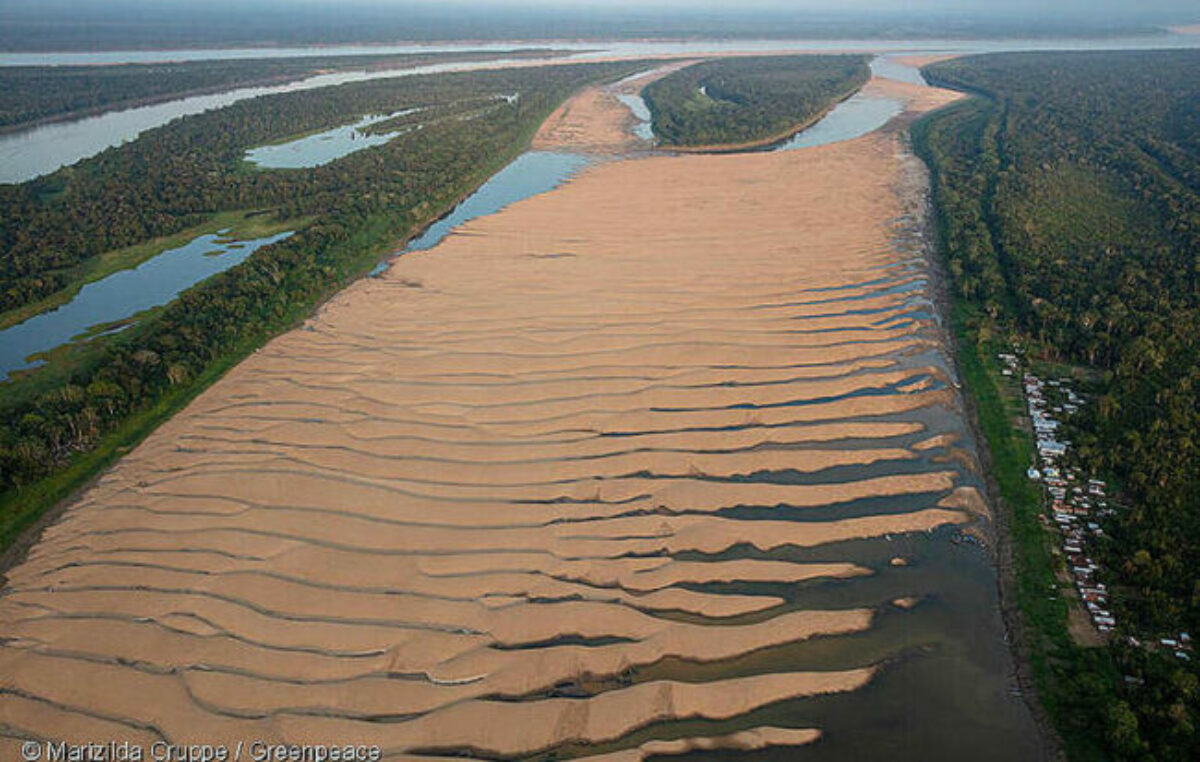 El cambio climático es el principal causante de la sequía histórica que afecta a la Amazonía desde 2023