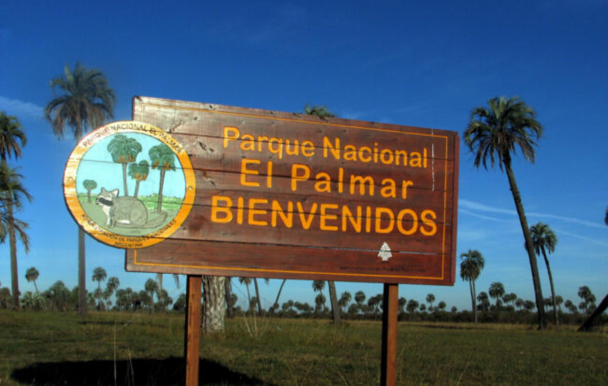 Crece la incertidumbre entre el personal del Parque Nacional El Palmar: trabajan sin contratos ni directivas