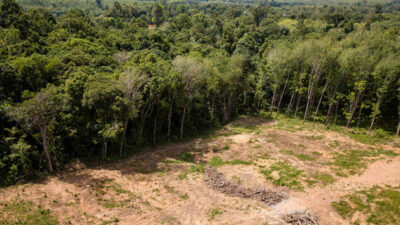 La deforestación de la Amazonia brasileña se redujo un 50% en 2023