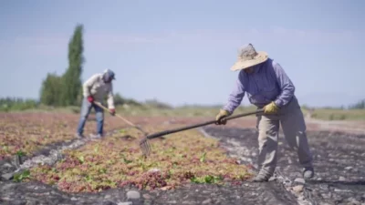El desafío de Producción de San Juan: disminuir la tasa de informalidad laboral