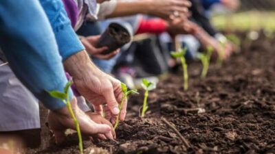 Además de tierra y agua buscan privatizar las semillas: otro atentado a la soberanía alimentaria