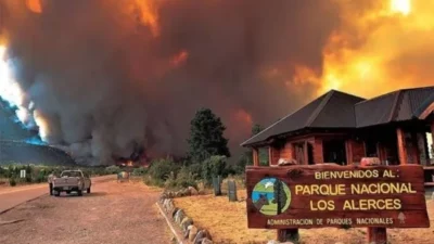 Chubut: un incendio forestal intencional en el Parque Nacional Los Alerces ya arrasó 577 hectáreas