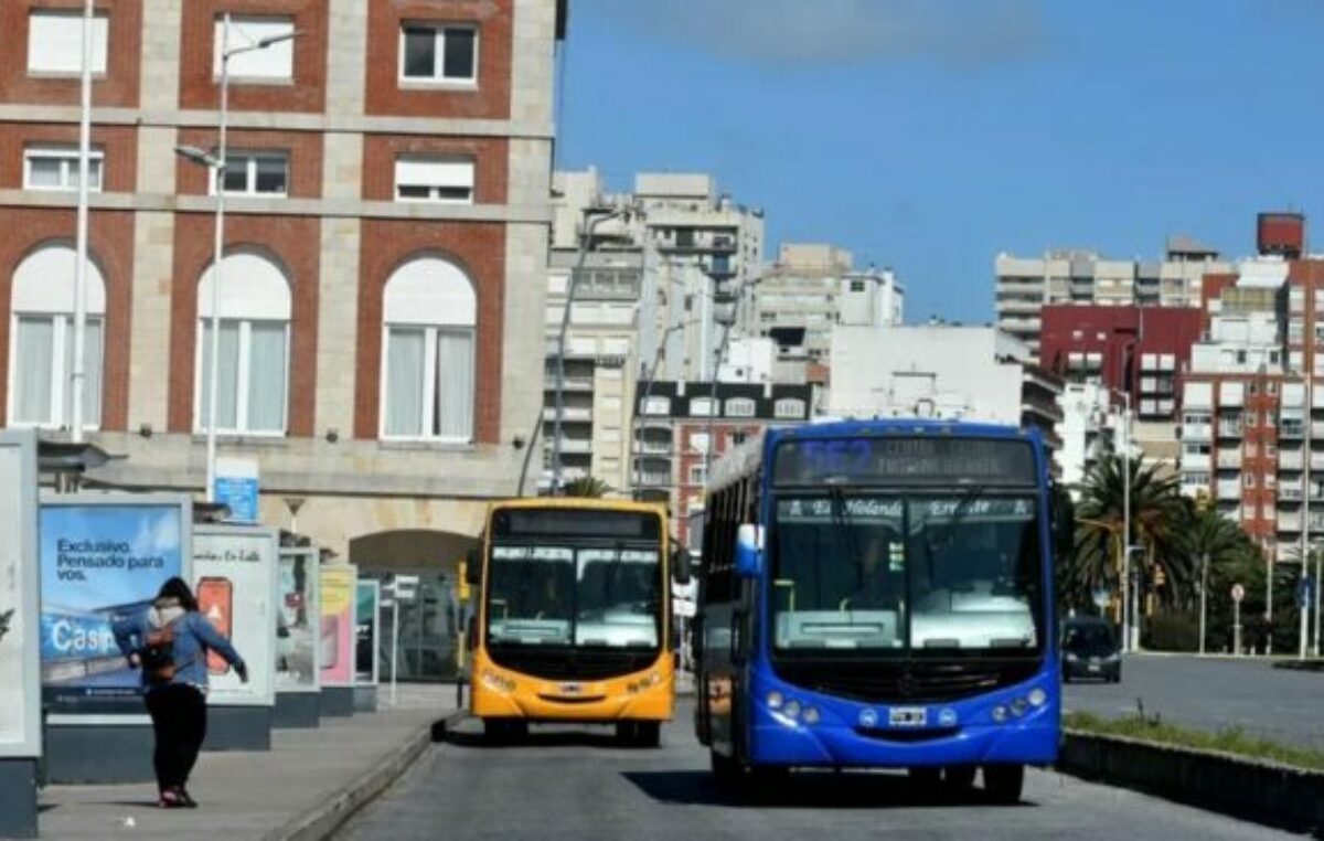 Transporte público: Javier Milei suma nuevos enemigos; los intendentes del interior