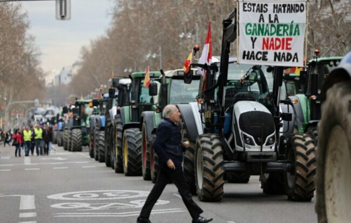España: tractorazo en defensa del campo