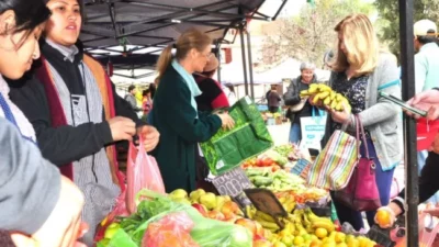 En Córdoba, 6 de cada 10 hogares no tienen acceso al total de los alimentos