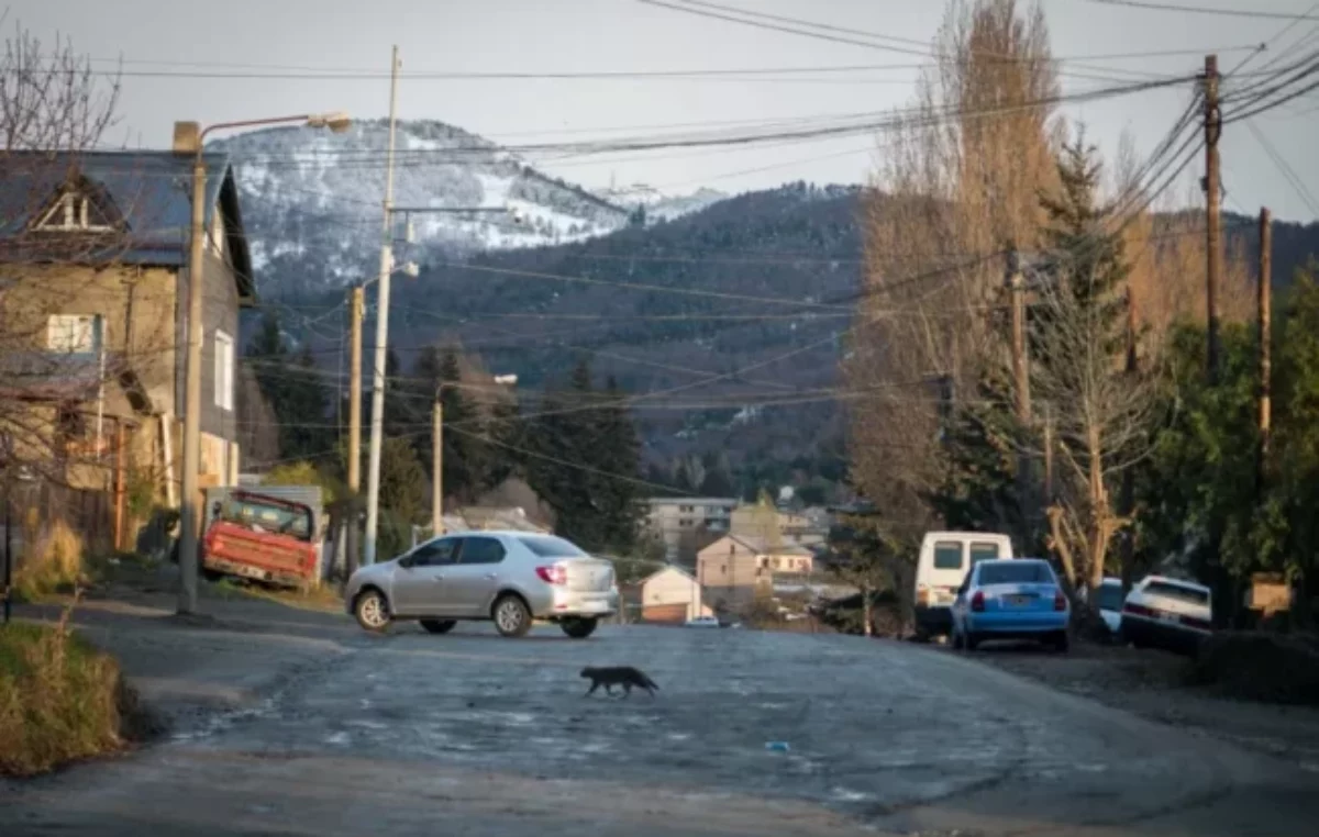 El municipio de Bariloche proyecta crear un Fondo Vial para la pavimentación de las calles