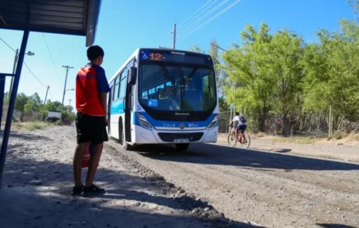 Neuquén: el sistema COLE triplicó la cantidad de pasajeros en un año