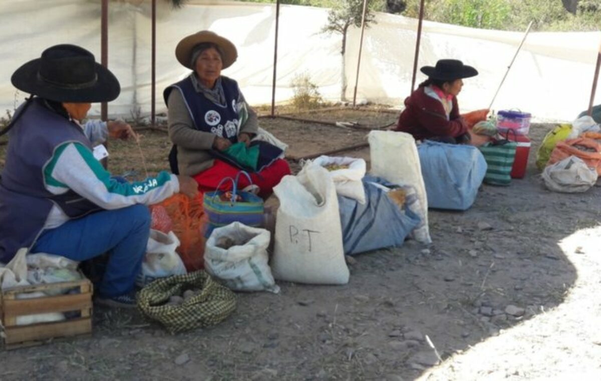 Municipio tilcareño respalda la vida campesina indígena