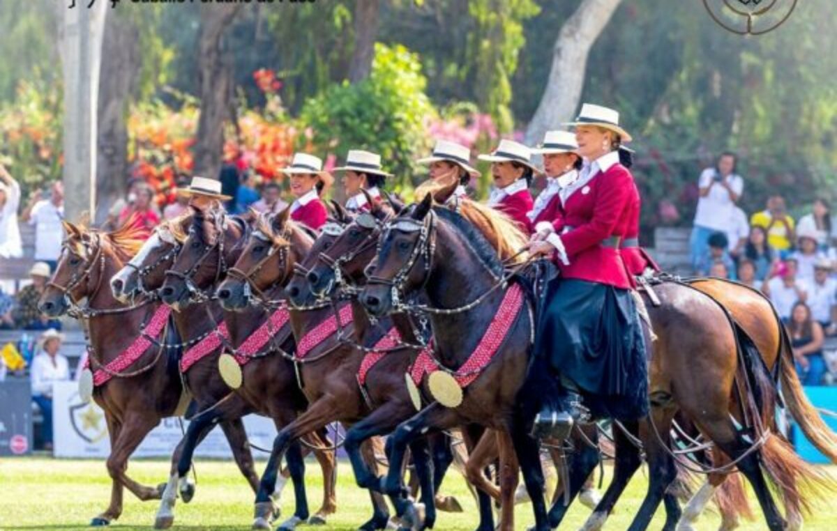 42° Concurso Nacional de Caballos Peruano de Paso