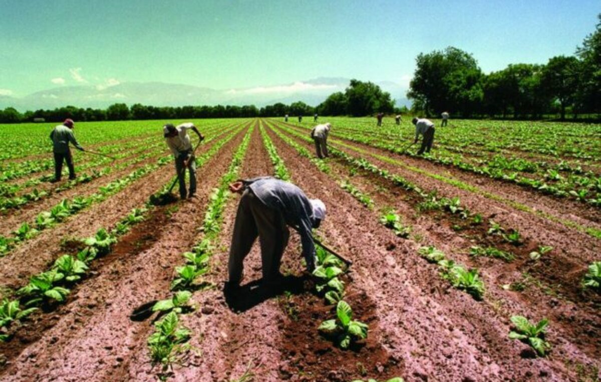 El 67% de los trabajadores en Mipymes salteñas son informales