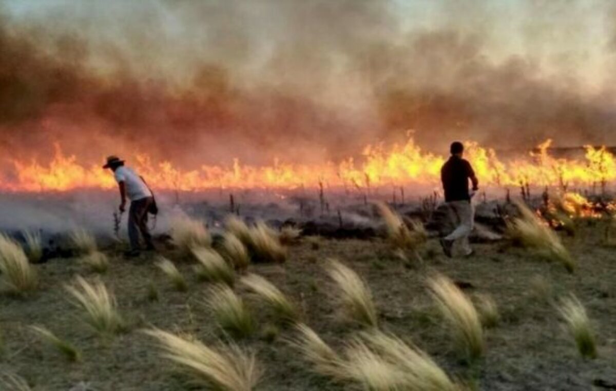 Organizaciones alertan sobre el impacto ambiental que tendrá la Ley Bases