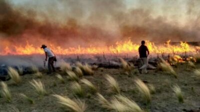 Organizaciones alertan sobre el impacto ambiental que tendrá la Ley Bases