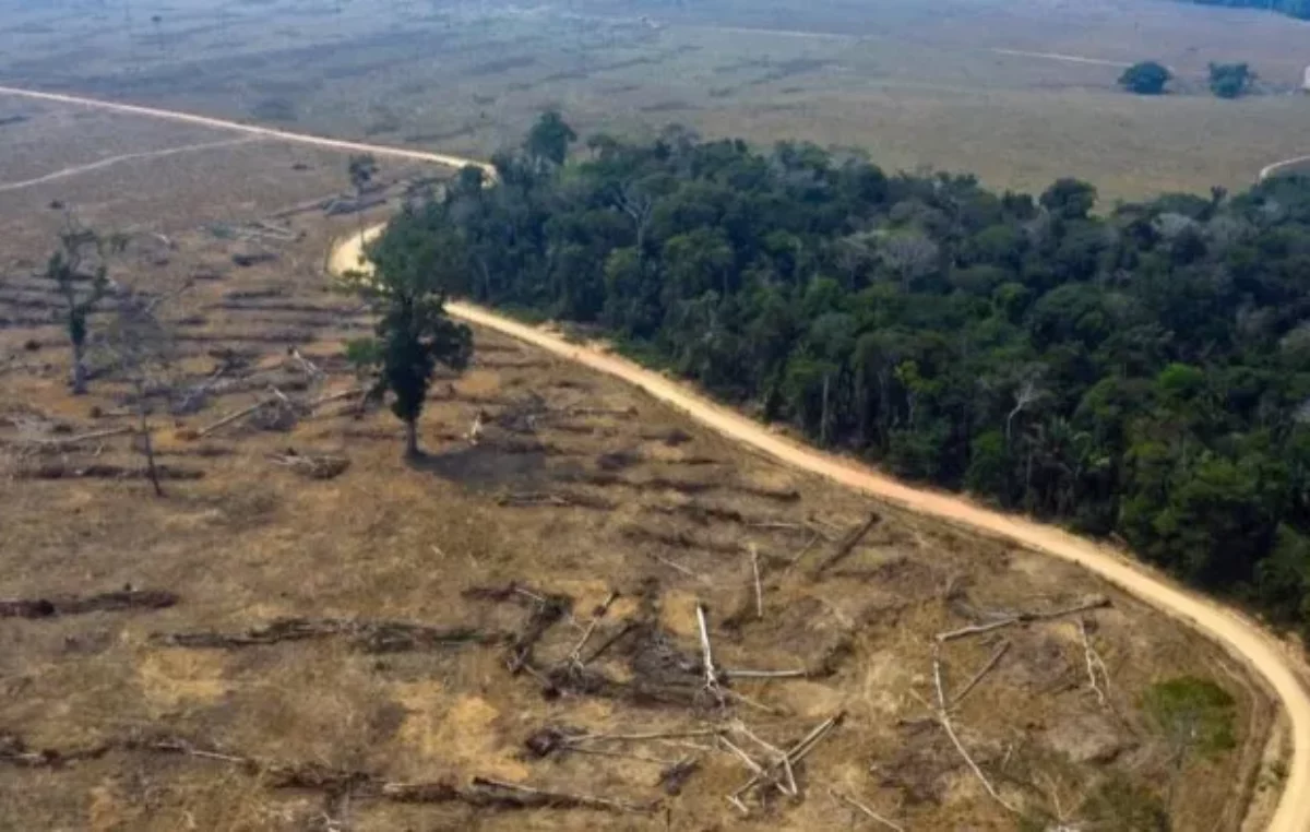 Brasil redujo la deforestación en la Amazonia un 11% durante el 2023, la primera caída en cinco años