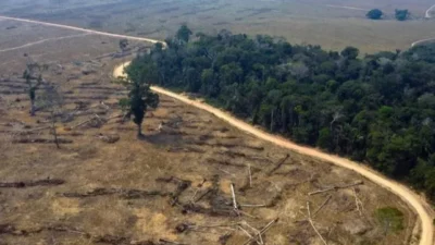 Brasil redujo la deforestación en la Amazonia un 11% durante el 2023, la primera caída en cinco años